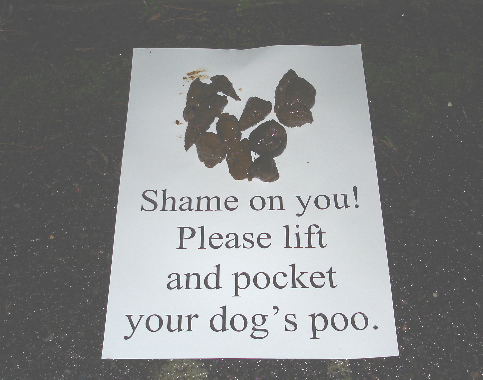 Shame on you